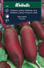 Rødbede, lang 'Forono'